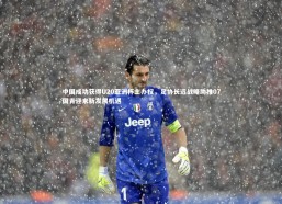 j9九游会官网登录|中国成功获得U20亚洲杯主办权，足协长远战略助推07国青迎来新发展机遇